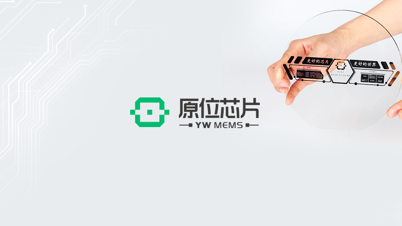 蘇州原位芯片科技有限責(zé)任公司