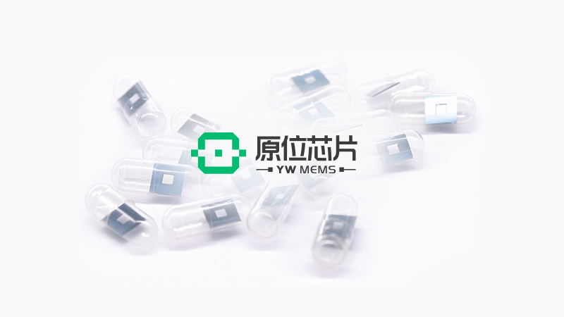 蘇州原位芯片科技有限責(zé)任公司